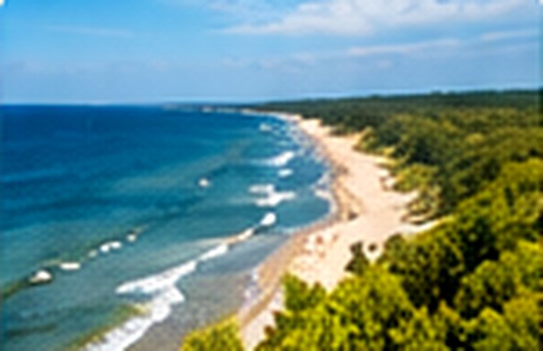 Pierwsza lekcja surfingu: jak wygląda, ile trwa i jak się przygotować mentalnie