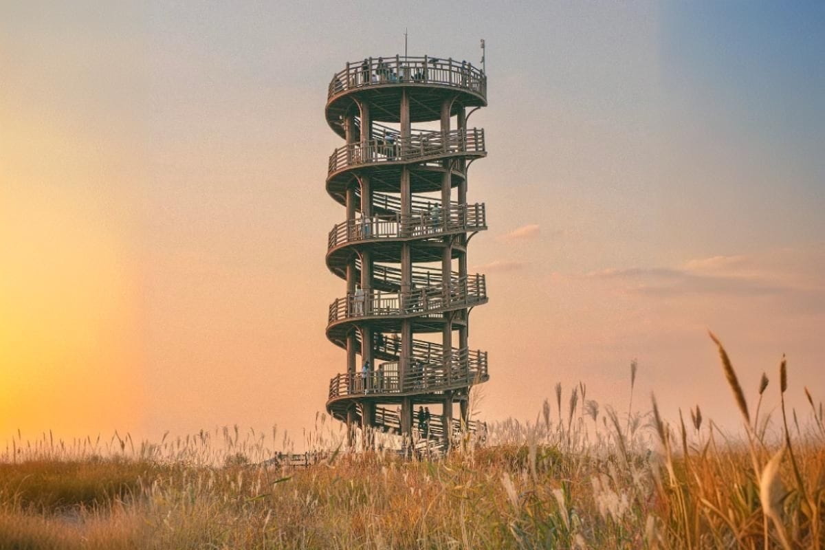 wieze-widokowe-w-polsce