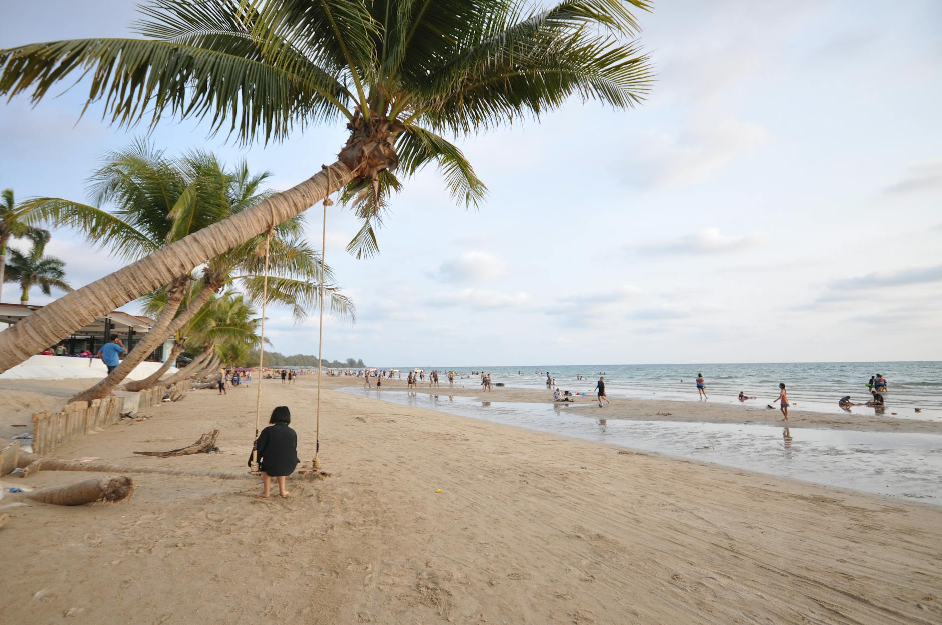 Rodzinna zabawa na tropikalnej plaży z palmami i huśtawką nad morzem