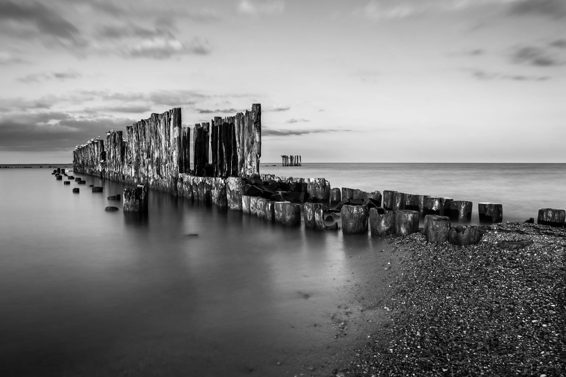 Spokojne wybrzeże Gdańska z drewnianymi palami w wodzie, ujęcie czarno-białe