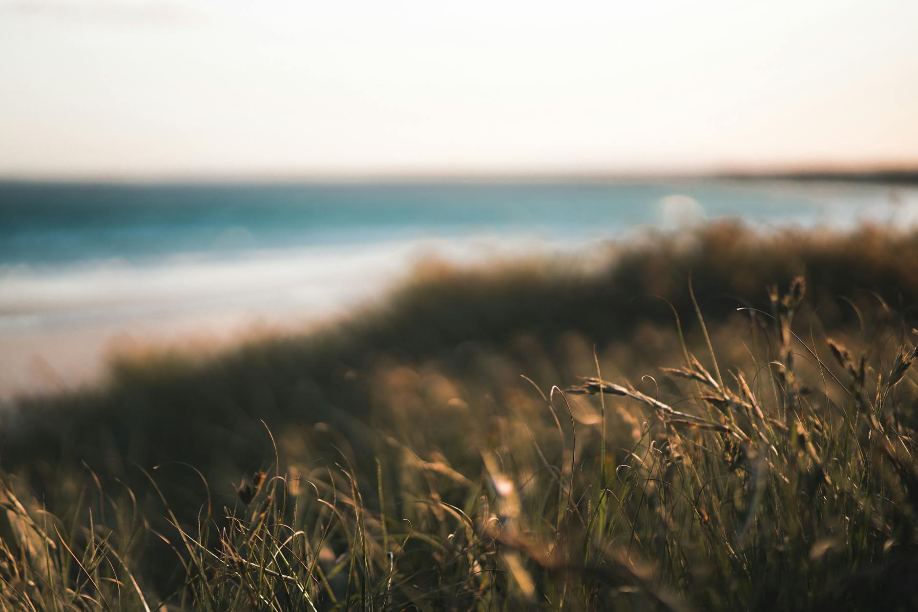Najlepsze miejscowości nad morzem poza sezonem: top 10 na spokojny wyjazd Sucha trawa na spokojnym, pustym wybrzeżu pod pochmurnym niebem