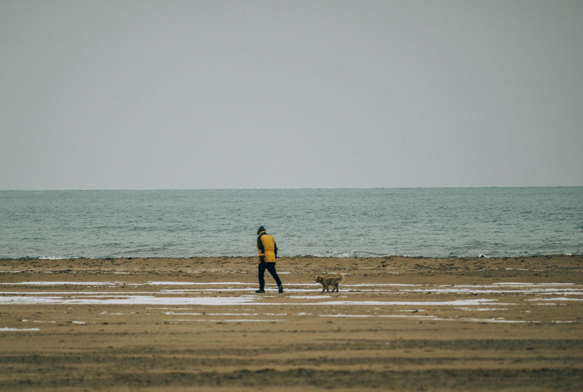 Mężczyzna w żółtej kurtce spaceruje z psem po pustej, pochmurnej plaży