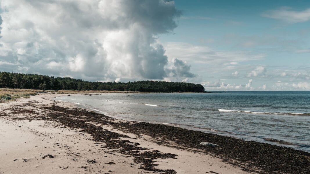 Półwysep Helski z maluchem: plaża od strony zatoki czy otwartego morza? Półwysep Helski z maluchem: plaża od strony zatoki czy otwartego morza?