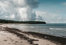 Półwysep Helski z maluchem: plaża od strony zatoki czy otwartego morza?