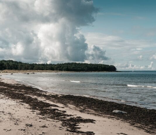 Półwysep Helski z maluchem: plaża od strony zatoki czy otwartego morza? Półwysep Helski z maluchem: plaża od strony zatoki czy otwartego morza?